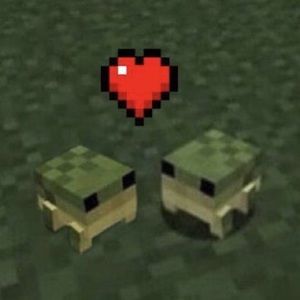 Meet your Posher, Mariana